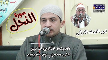تلاوة مباركة من سورة النحل لفضيلة الشيخ على محمود شميس عذاء فقيدة عائلات ابو عيد امين باشا الكبيرة