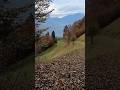 гарні гори чудові краєвиди гір Карпат #природа #nature #прогулка #travel