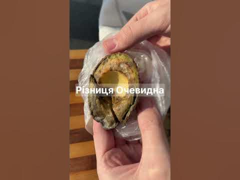 Свіже авокадо. Вощанка. Вощанки - YouTube