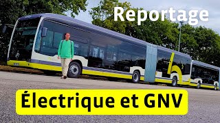 Bibus Reportage 100% Électrique et BioGNV Plus Respectueux de l’Environnement