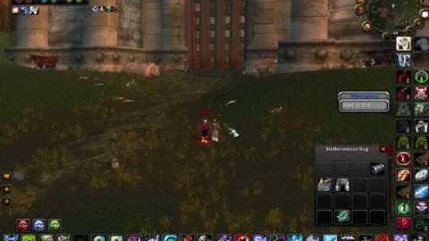 funny wow bugs 3.3.3