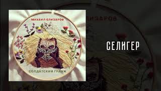 Михаил Елизаров - Селигер