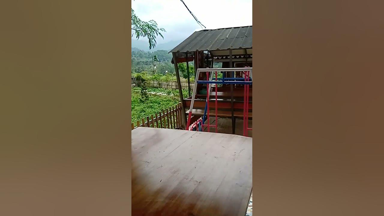 saung Malik arjasa #music #cover
