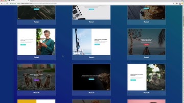 Quizitri Review and Demo Videos
