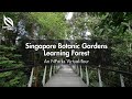 Singapore Botanic Gardens Learning Forest | An NParks Virtual Tour