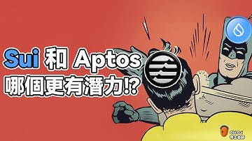 Sui 和 Aptos，誰才是 MOVE 語言之王｜哪個更有潛力？ #sui #apt