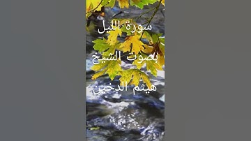 سورة الليل بصوت الشيخ هيثم الدخين #قران_كريم #تلاوة_خاشعة #راحة_نفسية #متابعة_لايك #اكسبلور #ترند
