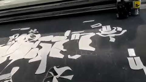 Richpeace leather automatic cutting machine running video