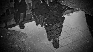 Rainfall Reflections: Meditative Moments in the Rain@driftawaywithrain
