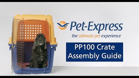 How to Assemble PP100 Dog Crate | Pet Express XXL Dog Kennel