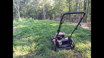 No Fancy Equipment? No Problem: Maintaining food plots without a tractor