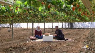 صباح الفراولة والخيرات مع فراولة الشاعر حسن كتانة  في أجواء مميزة