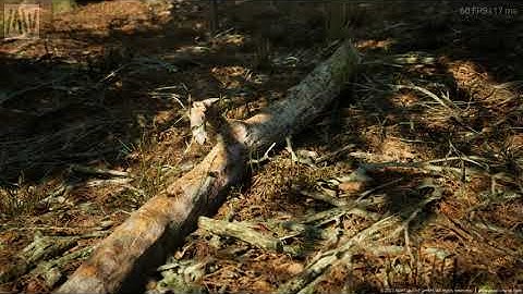 Realistic Forest Unreal Engine 5 Demo | MAWI Conifer Tree Forest Biome Demo @UnrealEngine