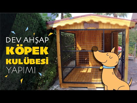 Dev Ahşap Köpek Kulübesi Yapımı