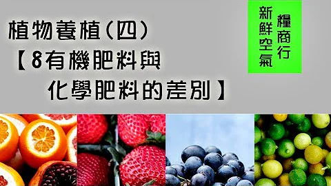 【8有機肥料與化學肥料的差別】植物養植(四) - 天天要聞
