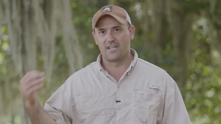 Feral Swine in America: Episode 5 - Georgia