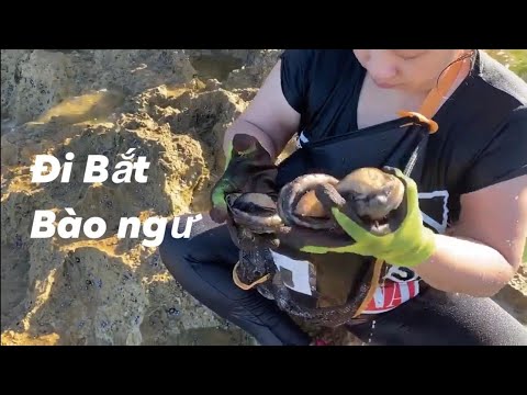 #120: BẮT BÀO NGƯ SIÊU TO KHỔNG LỒ Ở AUSTRALIA/BUỔI SÁNG THỨ 7 ĐẦU TIÊN ĐƯỢC BẮT/CUỘC SỐNG Ở ÚC