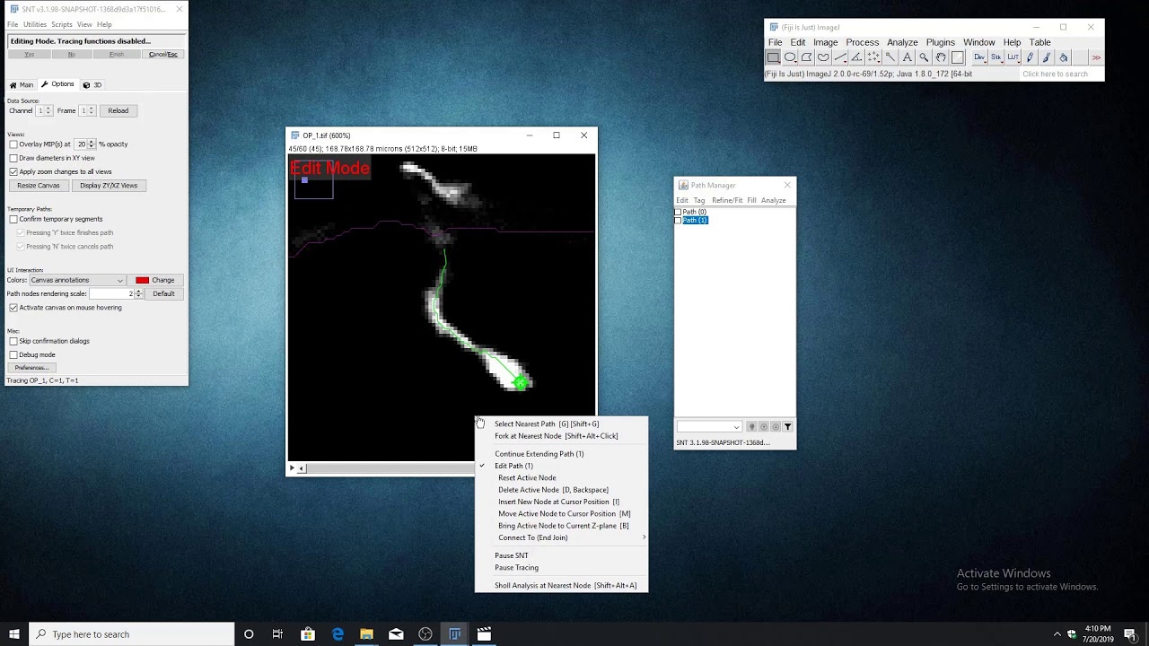 Snt Screencasts Imagej