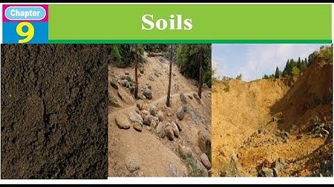 Class 5 Science Chapter 9 from STBB publisher book for PST and JEST Test preparation