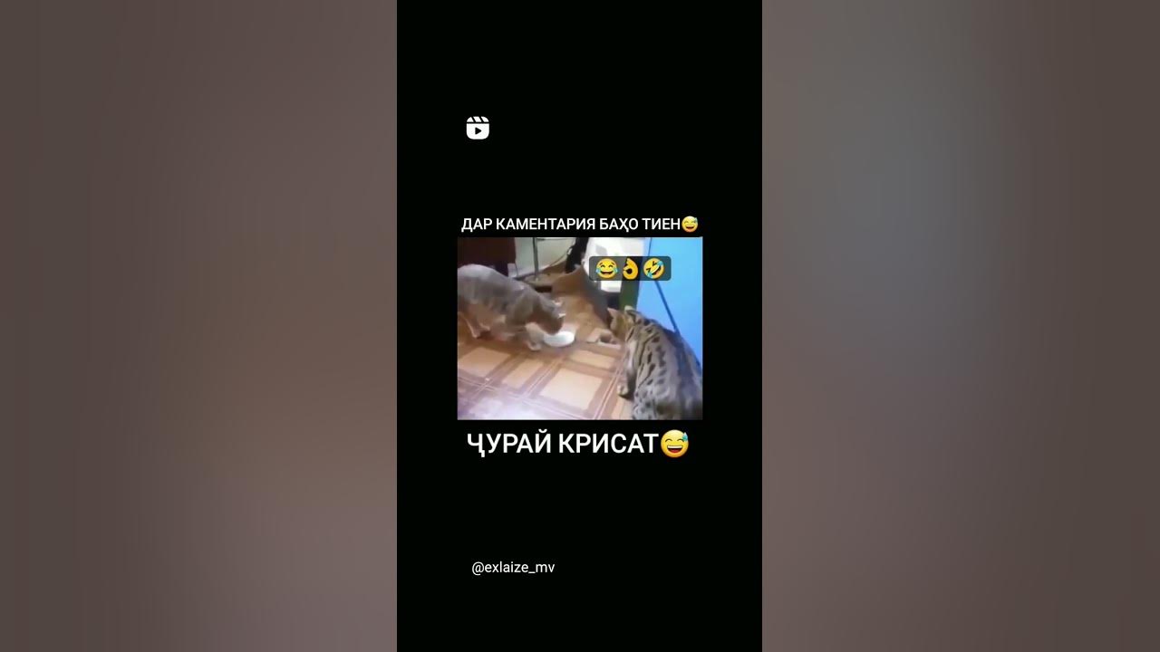 Ханда ханда - YouTube