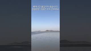 영종도 마시안해변 해루질
