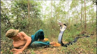 The terrifying moment a man was attacked by a giant king cobra while walking through the forest.