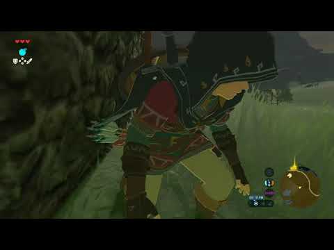BotW - Goblin