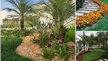Como ter jardim bonito?