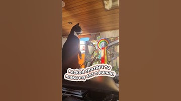 I asked chatGPT to make my cat a human PART 4 #justcats #hugyourcatday #nationalcatday #savethecat