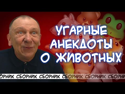 Видео: Подборка! Уморительные анекдоты о животных!