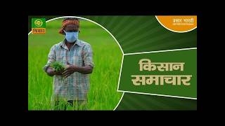 Kisan Samachar | किसान समाचार | Latest Agriculture News Today | DD Kisan | 01/06/2026
