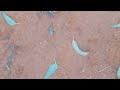 Jay Murisa – UMURUHO W’ISI (Original Video)