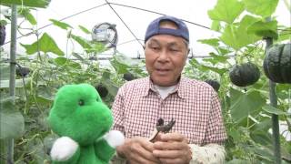 おいC!Mモーション#97