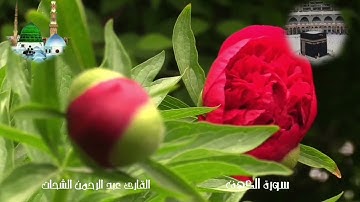 سورة الكهف القارئ عبد الرحمن الشحات