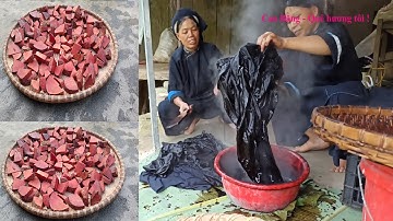 T2.Nghề Đặc Biệt Truyền Thống Của Người Nùng An Ở Quảng Hòa Cao Bằng. Nghề nhuộm vải chàm ở Cao Bằng