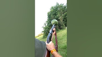 Winchester Model 12 Gauge