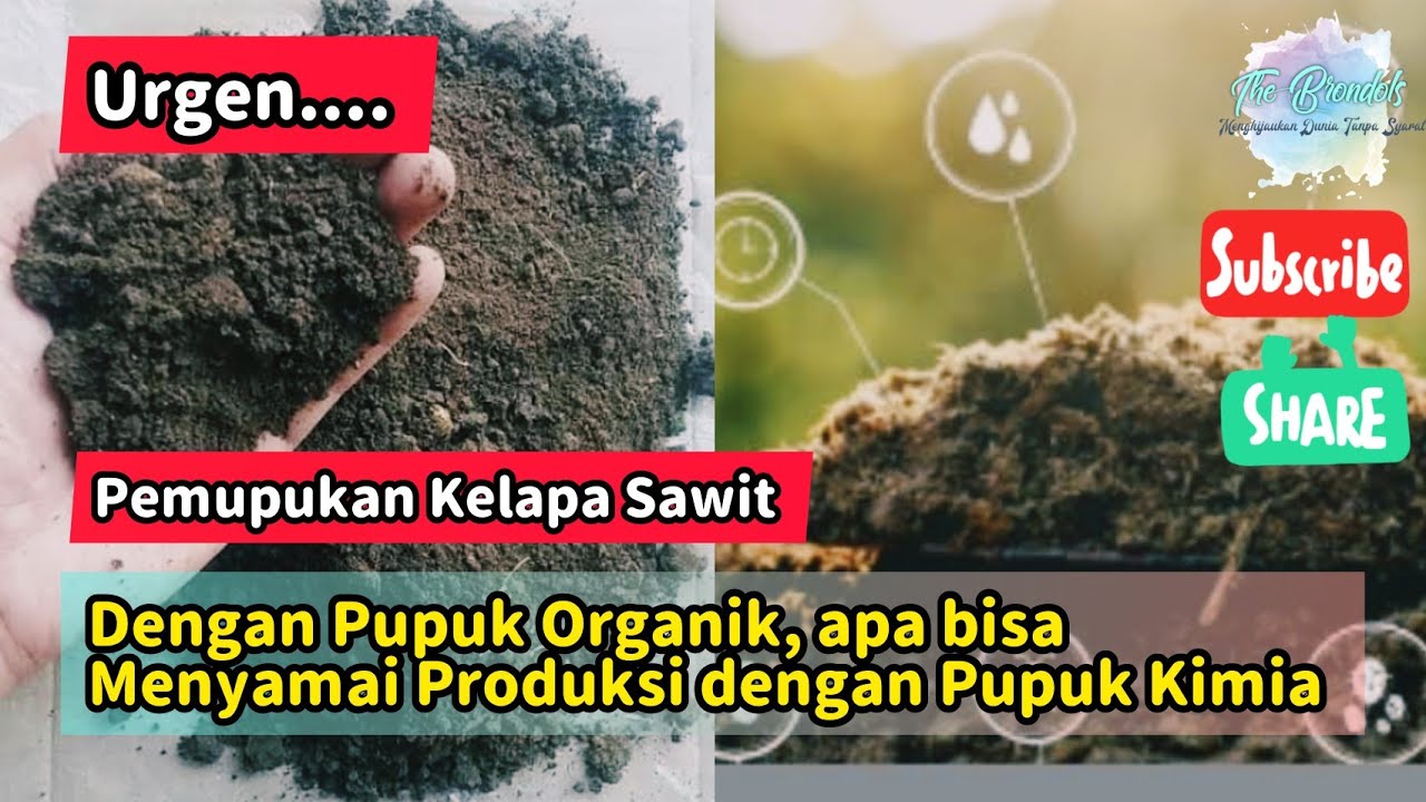 Rahasia Subur: 5 Pupuk Ajaib yang Bisa Dicampur!