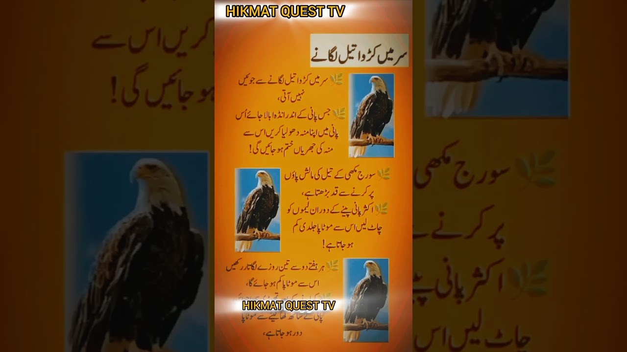 Sar Mein Karwa Tail Lganay Sy 