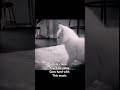 idk know how I copy this video ☠️☠️
