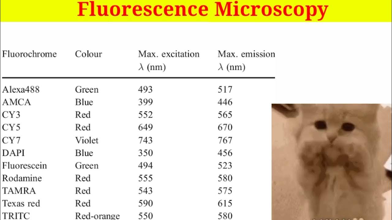 Fluorescence Microscopy Principle Introduction , Working Method