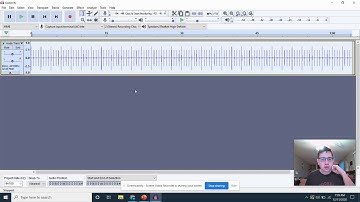 How to create a rhythm track and label track in Audacity