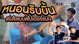 หนอนริบบิ้น หน้าตาน่ากลัว แต่ราคาดีสุดๆ | วันนี้มีข่าว | สำนักข่าววันนิวส์