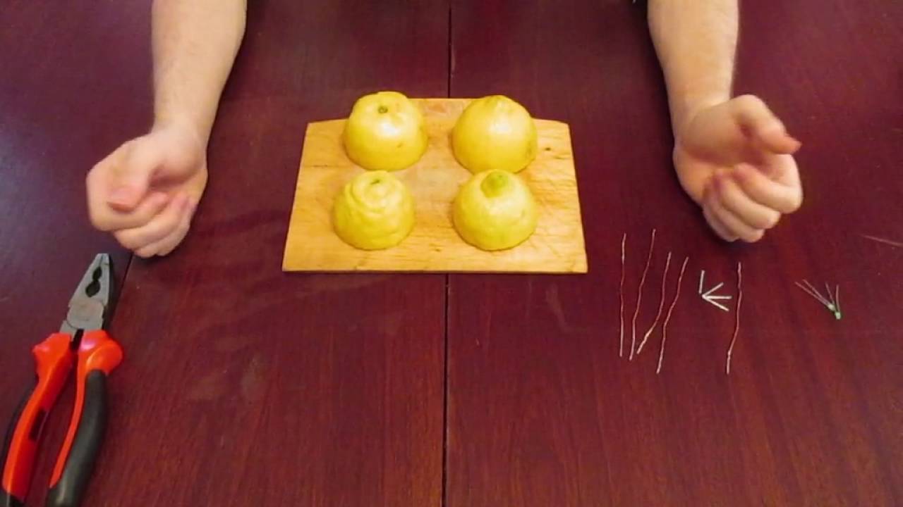 Батарейка из лимона - YouTube