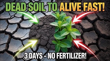 This Amish Soil Hack SHOCKED Me: Microbes in 3 Days, No Fertilizer Ever Again!