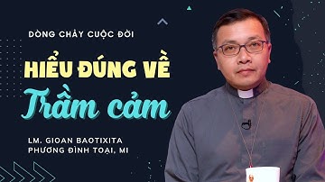 Hiểu đúng về trầm cảm | Dòng chảy cuộc đời - Lm GB. Phương Đình Toại