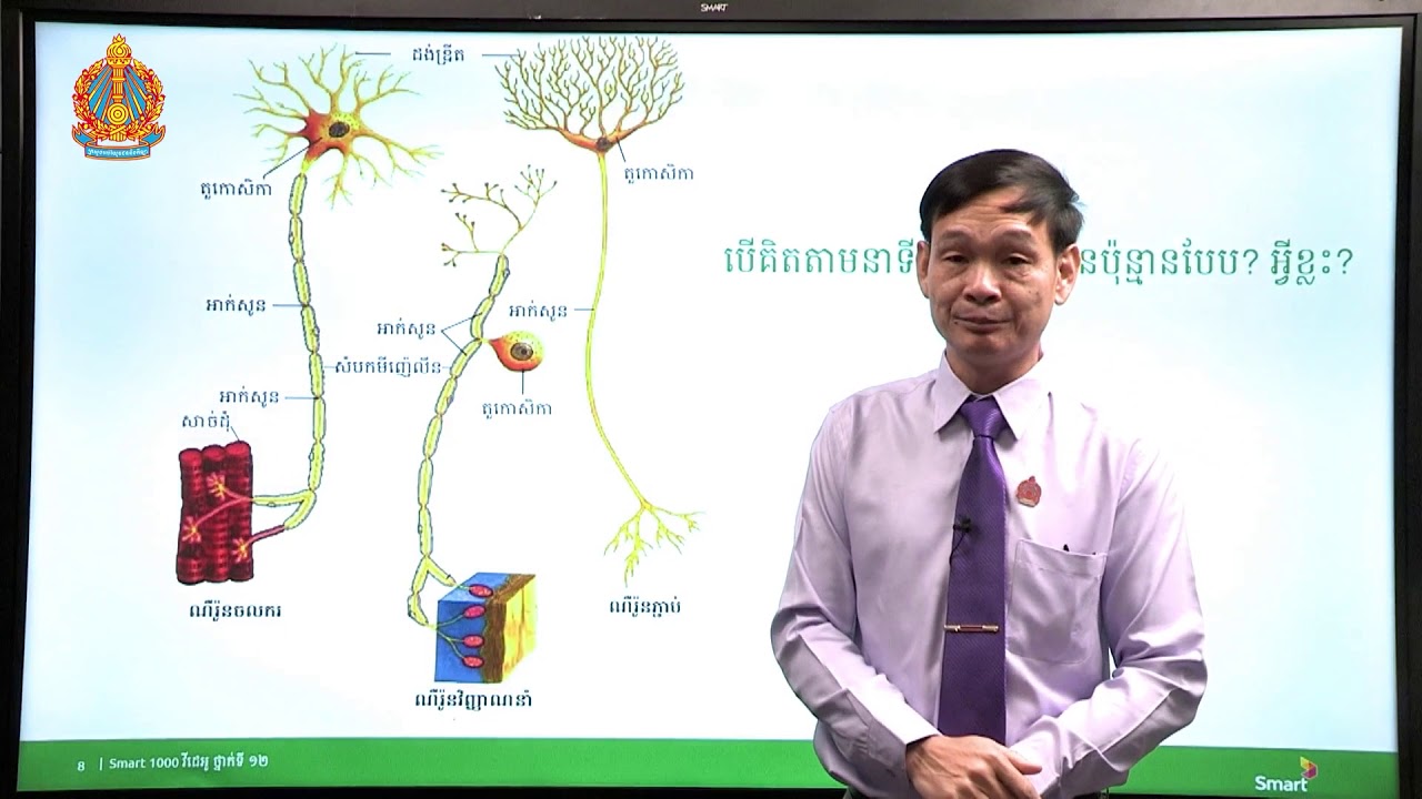 ជីវវិទ្យា ថ្នាក់ទី១២ ជំពូកទី៣ មេរៀនទី១៖​ តម្រូវប្រសាទ (ភាគទី៤)