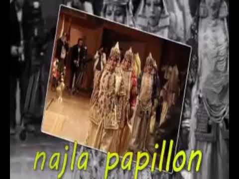 عادات وتقاليد اهل المدينه تلمسان اعراس تلمسان