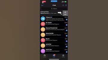 How to Hide Archived Chat on Telegram (2024)