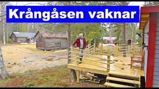 Krångåsen Vaknar Efter Vintern