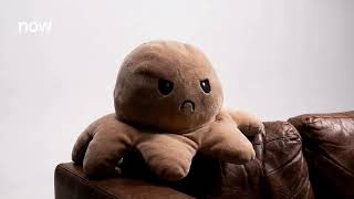 I turned my desk plushie into a digital pet